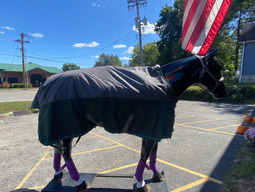 USED Riders International Heavy Weight Turnout Blanket 82" Green/Grey