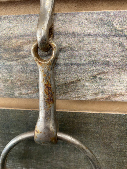 USED  O-Ring Snaffle 5"