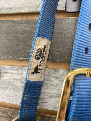 USED Weaver Nylon Halter Yearling Light Blue