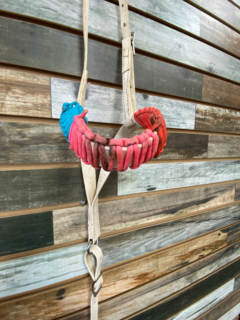 USED  Biothane Tiedown w Nose Wrap  Blue/Pink