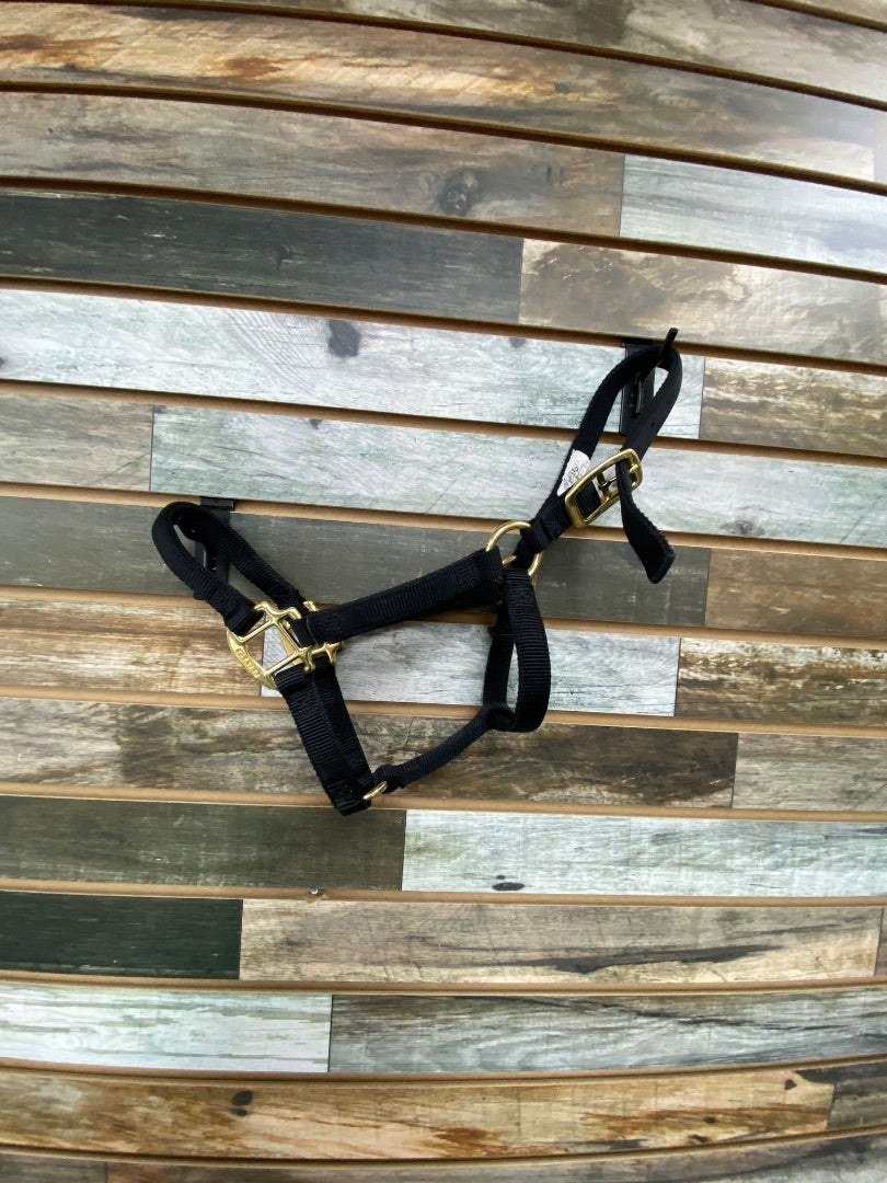 USED Weaver Halter Weanling/Pony Black