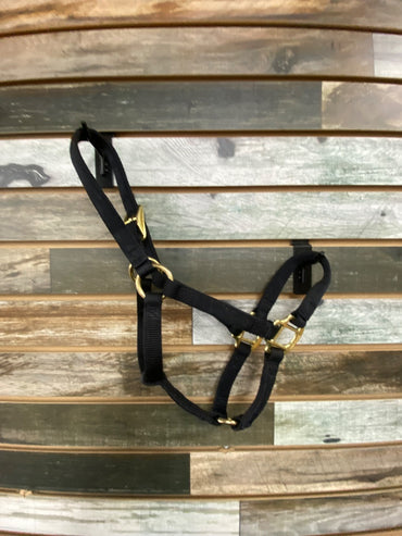 USED Weaver Halter Weanling/Pony Black