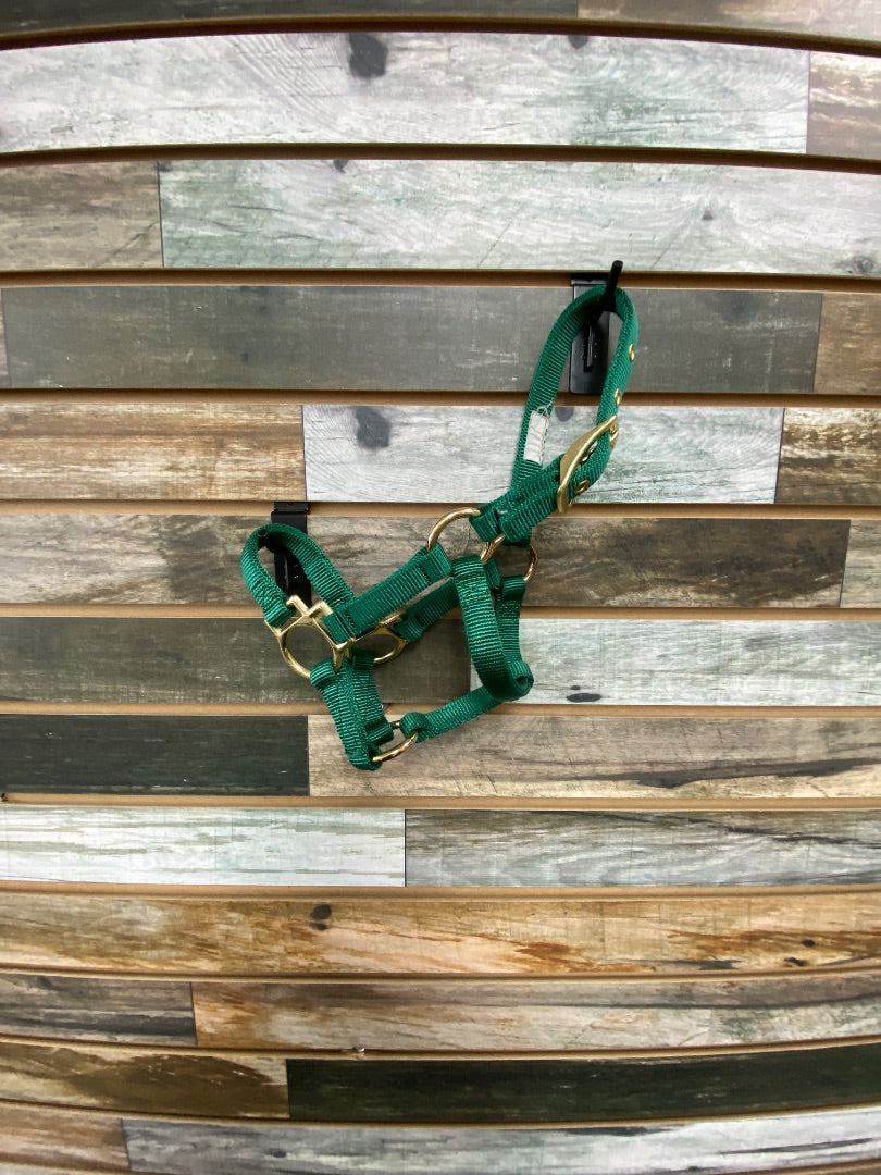 USED Weaver Halter Weanling/Pony Green