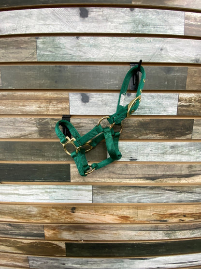 USED Weaver Halter Weanling/Pony Green