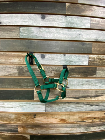 USED Weaver Halter Weanling/Pony Green