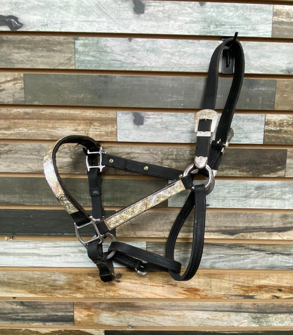 USED  Halter X-Large/Draft Black Leather