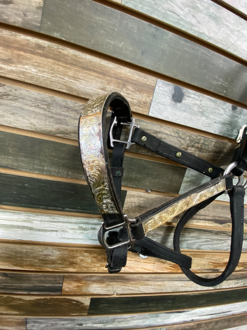 USED  Halter X-Large/Draft Black Leather