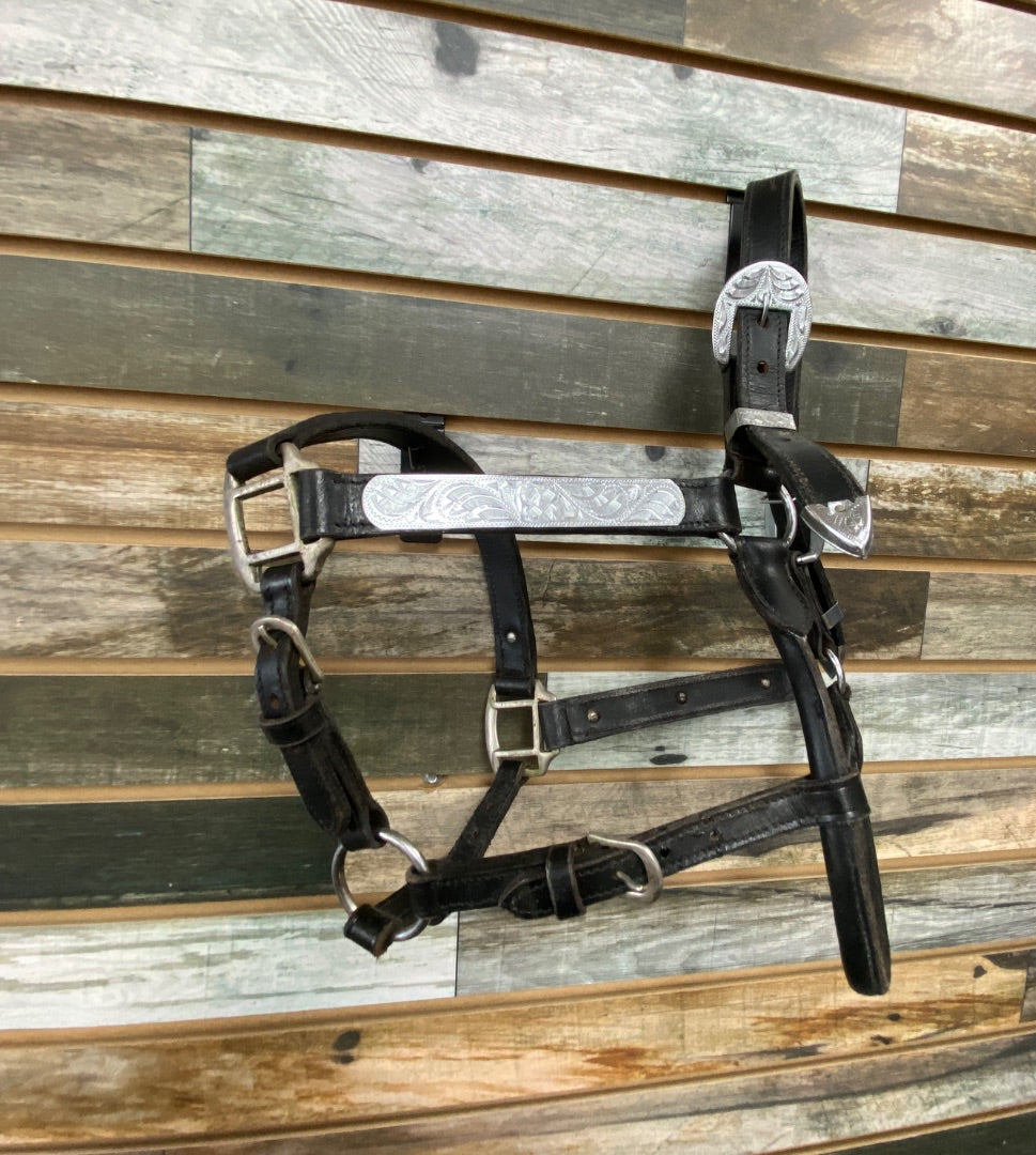 USED  Leather Show Halter Full/Horse Black