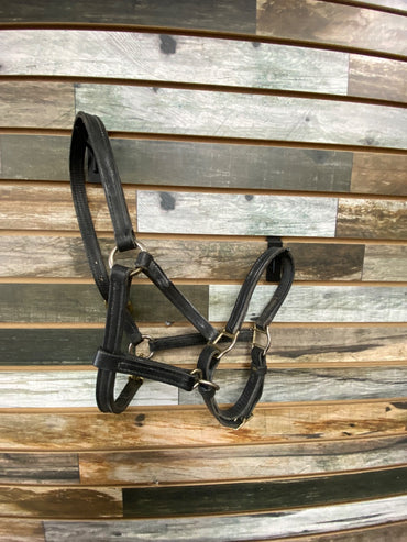 USED  Black Leather Halter Cob Black