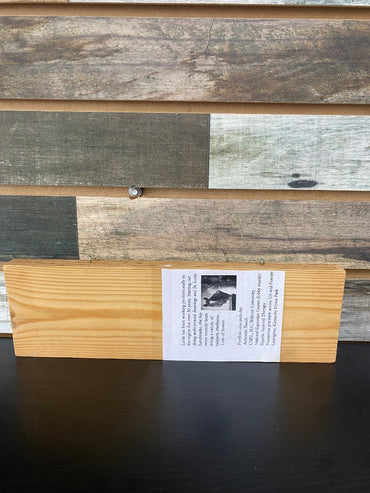 Holiday Wood Burn Decor 4"x10"