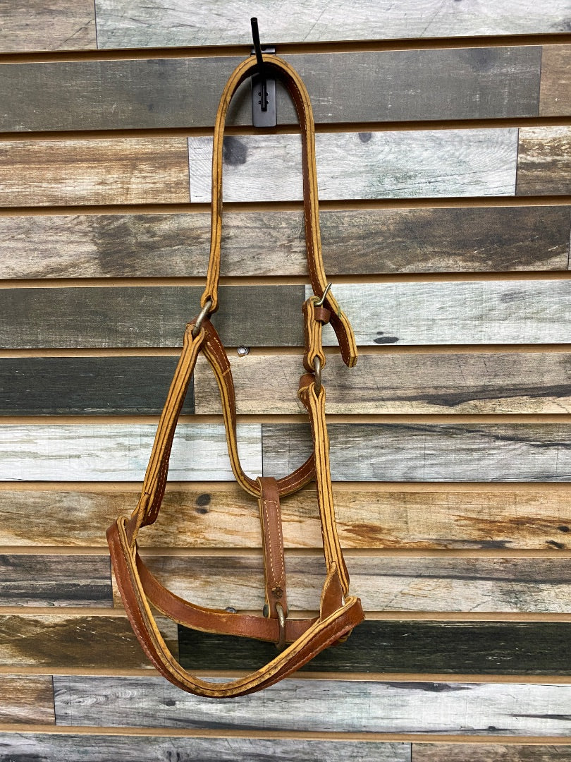USED Golden Horseshoe Equestrian Leather Halter Horse Medium Oil