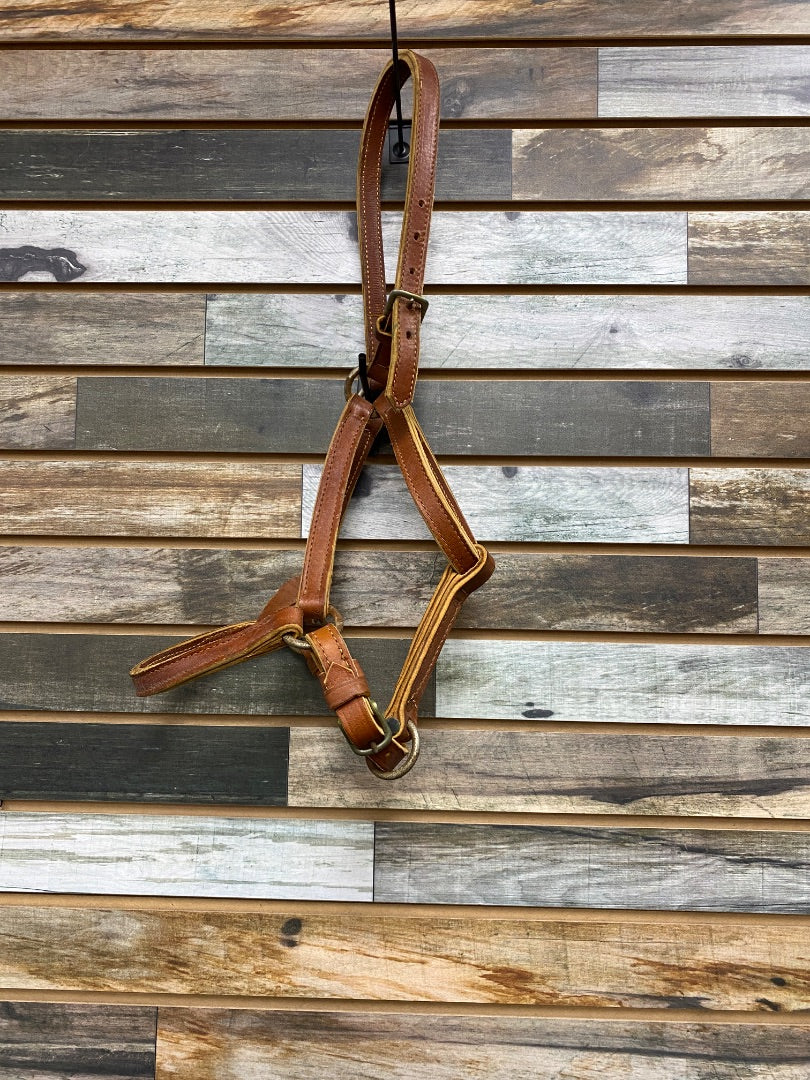USED Golden Horseshoe Equestrian Leather Halter Horse Medium Oil
