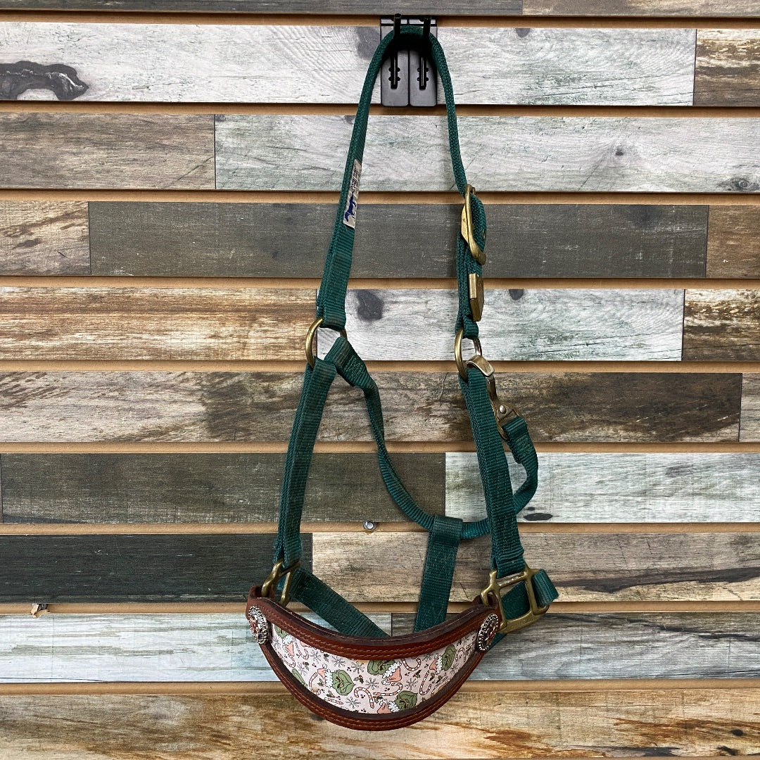 USED Hamilton Nylon Halter With Bronc Noseband Average Horse Green