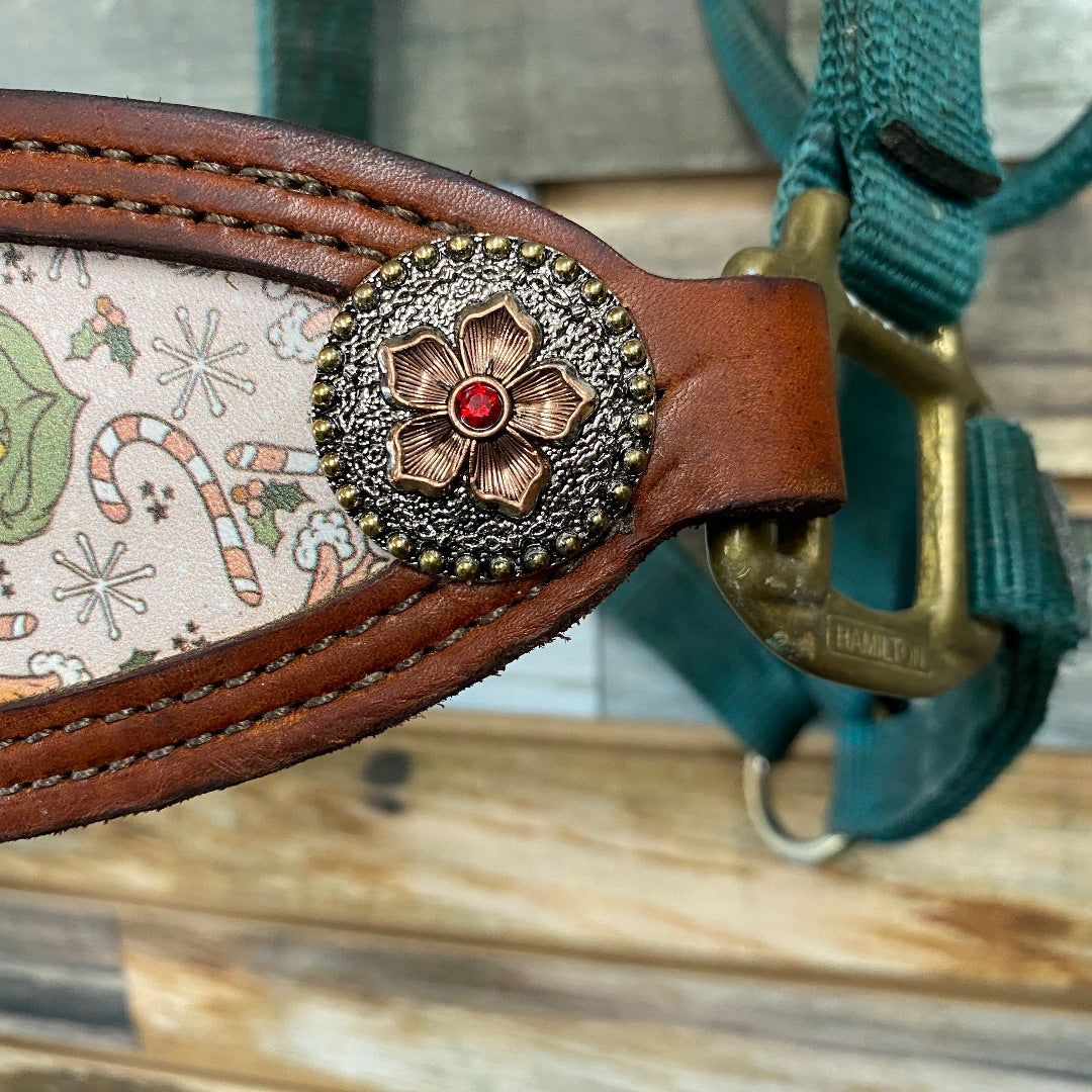 USED Hamilton Nylon Halter With Bronc Noseband Average Horse Green