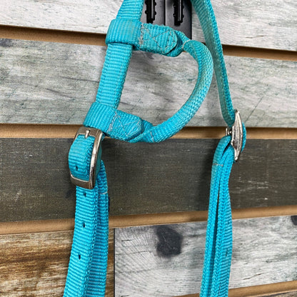 USED Triple E Nylon One-Ear Headstall Horse Light Blue