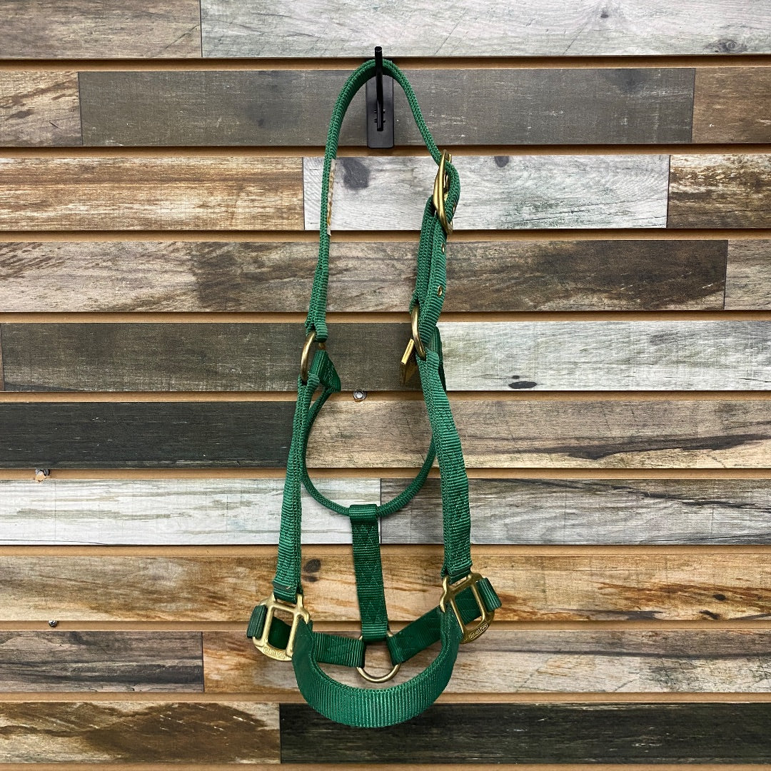 USED Hamilton Nylon Halter Large Horse