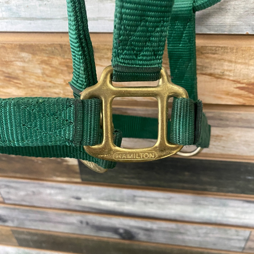 USED Hamilton Nylon Halter Large Horse