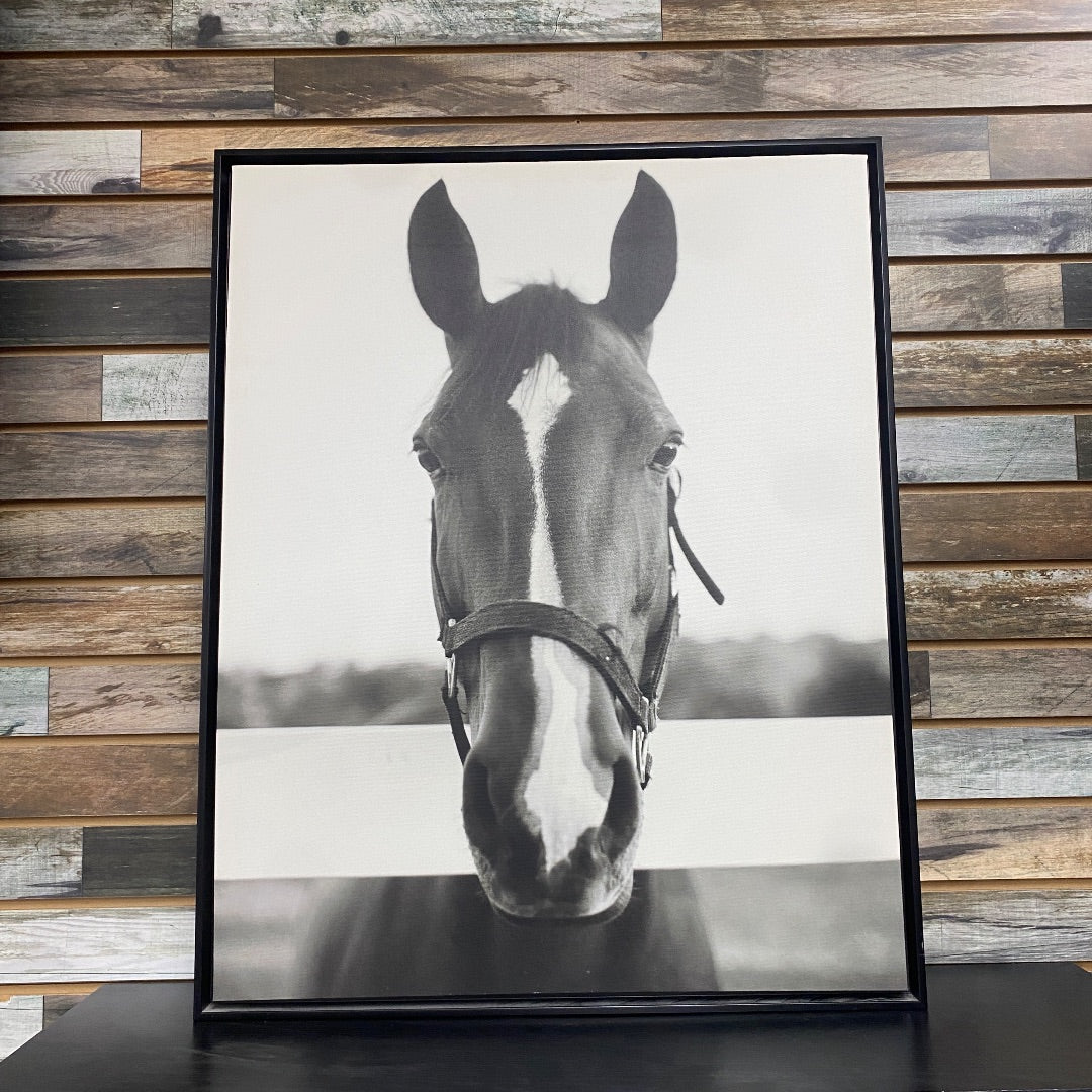 USED Large B/W Monochrome Horse Face Art