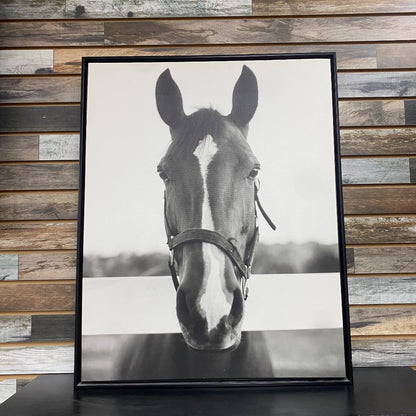 USED Large B/W Monochrome Horse Face Art