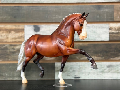 USED BreyerFest 2025 Sieze the Day Surprise Matte Silver Bay - 1,150 Made