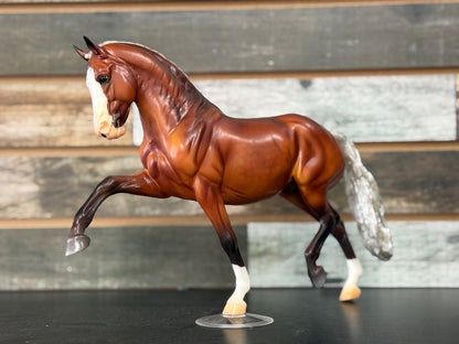 USED BreyerFest 2025 Sieze the Day Surprise Matte Silver Bay - 1,150 Made