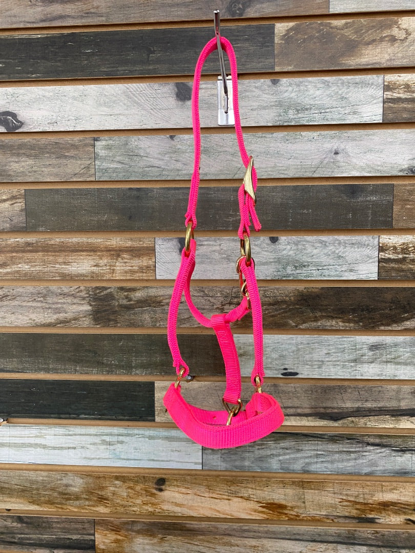 USED Hot Pink Nylon Weaver Weanling Halter