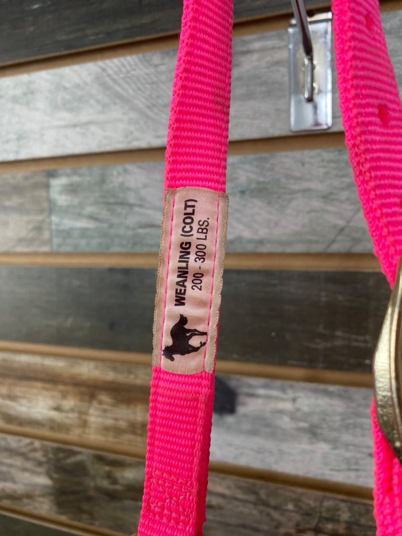 USED Hot Pink Nylon Weaver Weanling Halter