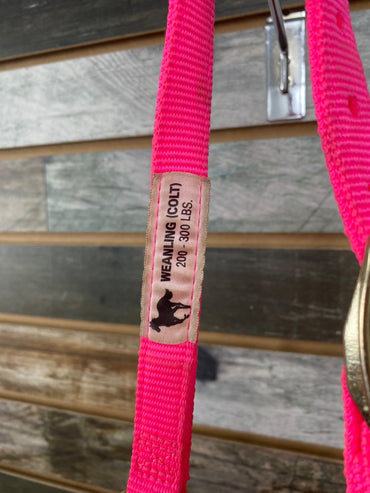 USED Hot Pink Nylon Weaver Weanling Halter