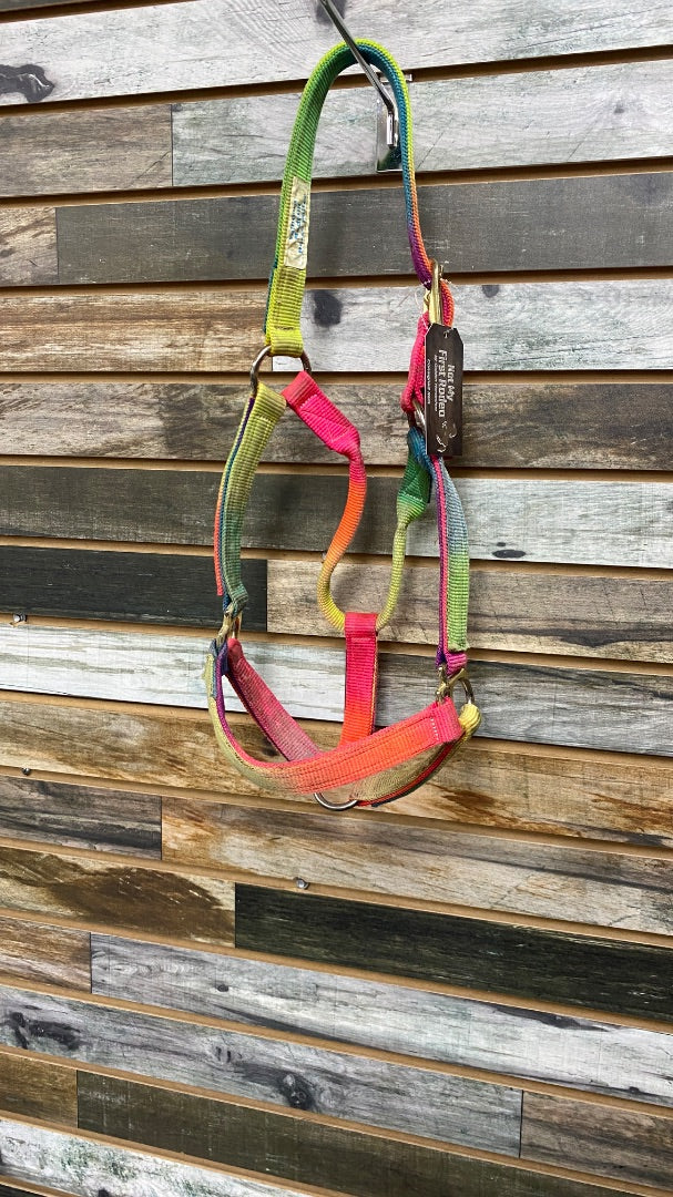 USED  Nylon Halter Horse Rainbow