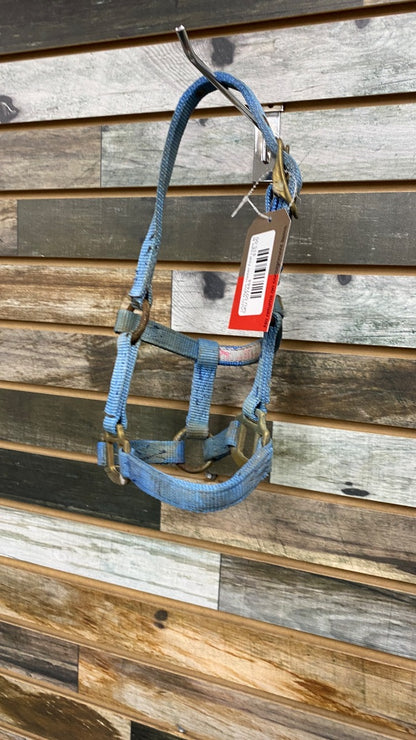 USED  Nylon Halter Foal Light Blue