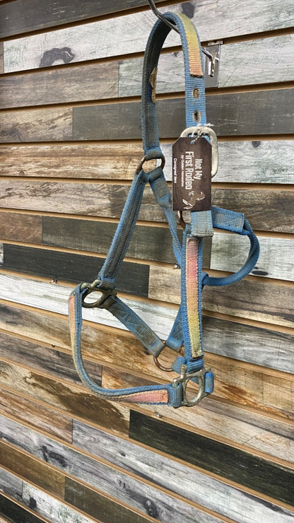 USED  Nylon Halter Horse Blue/Pink