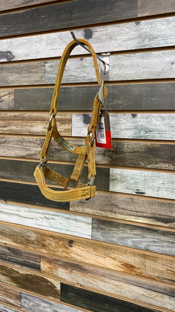 USED Hamilton Nylon Halter Yearling Yellow