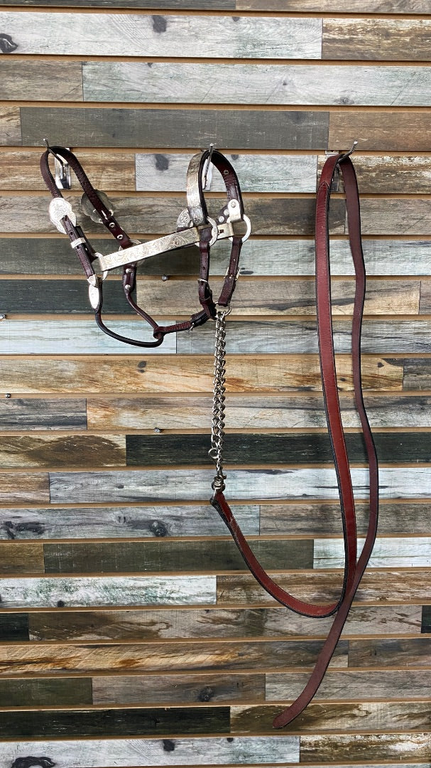 USED Circle Y Pony Show Halter Burgandy Leather,Silver accents with Leather Lead Pony Burgandy