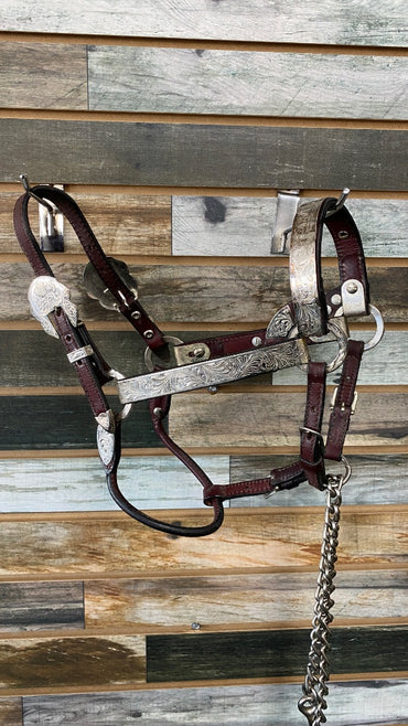 USED Circle Y Pony Show Halter Burgandy Leather,Silver accents with Leather Lead Pony Burgandy