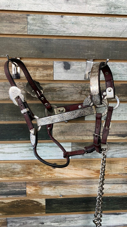 USED Circle Y Pony Show Halter Burgandy Leather,Silver accents with Leather Lead Pony Burgandy