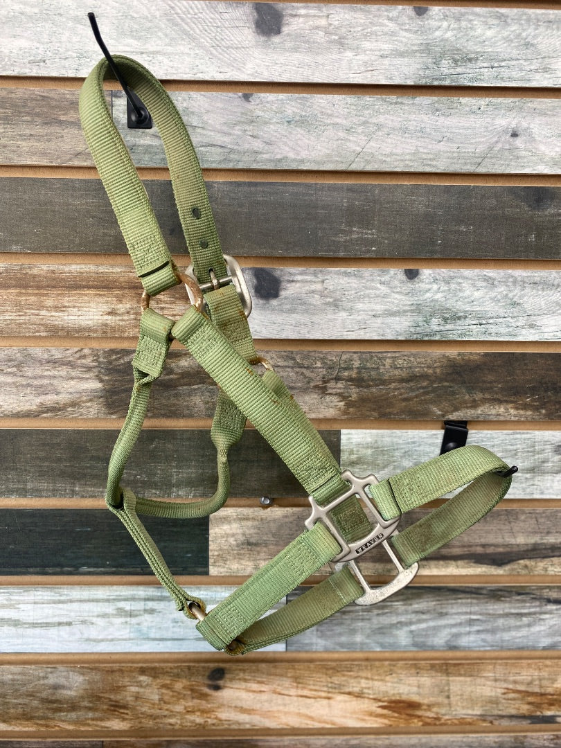 USED Weaver Nylon Halter Small Horse/Cob Lime Green