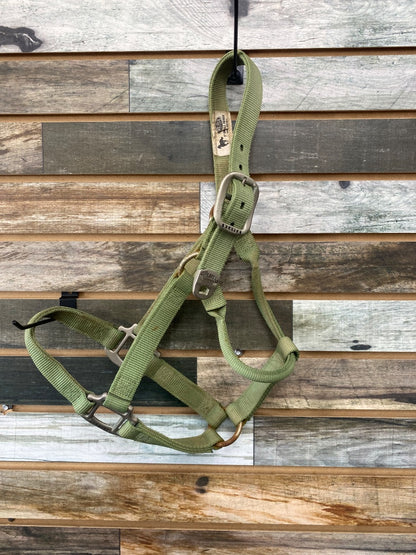 USED Weaver Nylon Halter Small Horse/Cob Lime Green