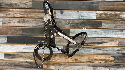 USED Showmanship Halter Pony Dark Oil / Silver
