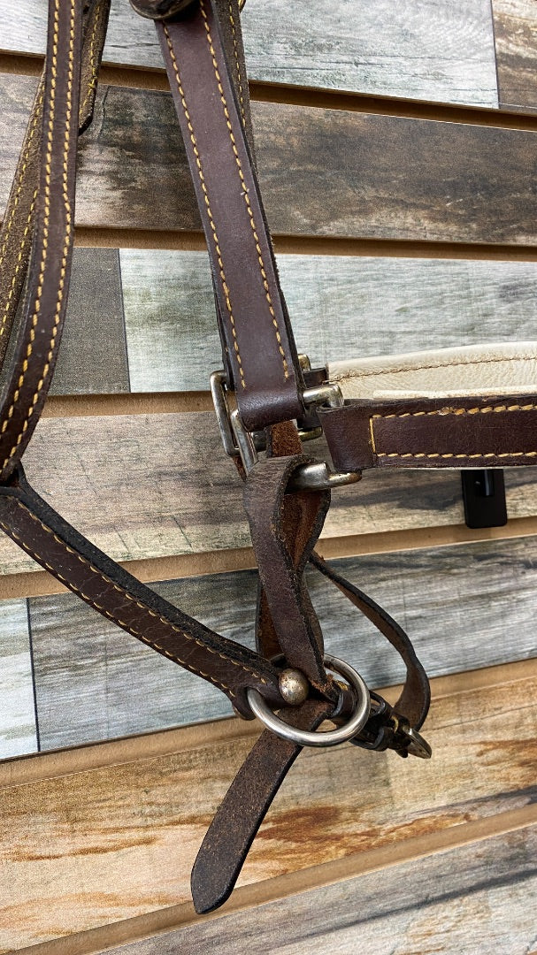USED Halter Bridle | Size Full - Brown