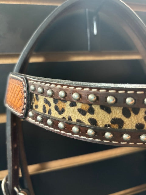 HIlason Leather Browband Headstall with Cheetah