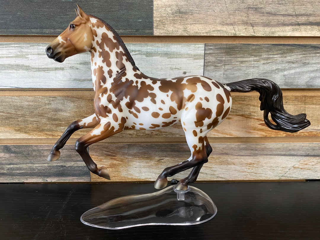 USED Breyer Breyer Appaloosa "Let the Good Times Roll"  Brown/White