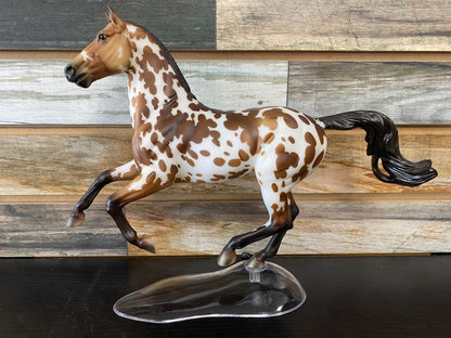 USED Breyer Breyer Appaloosa "Let the Good Times Roll"  Brown/White