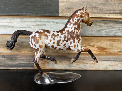 USED Breyer Breyer Appaloosa "Let the Good Times Roll"  Brown/White