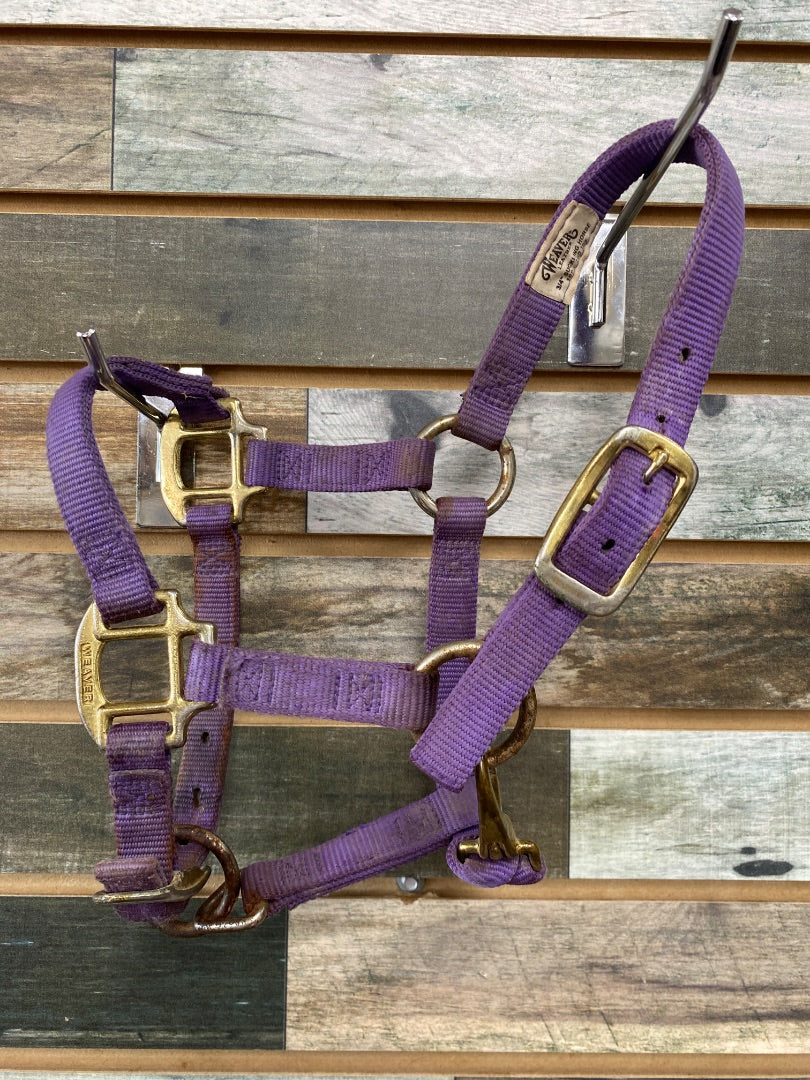 USED Weaver Nylon Halter Suckling/Mini Purple