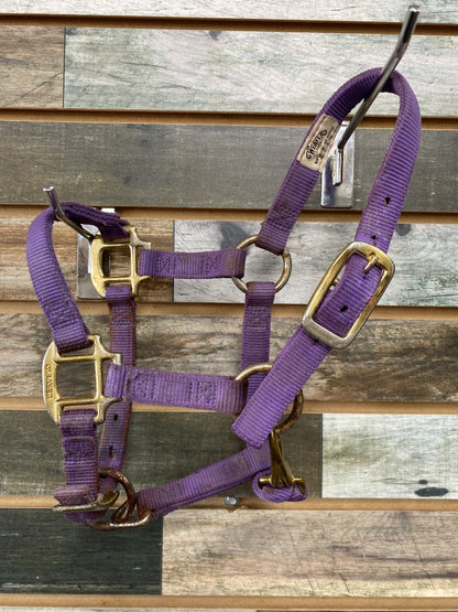 USED Weaver Nylon Halter Suckling/Mini Purple