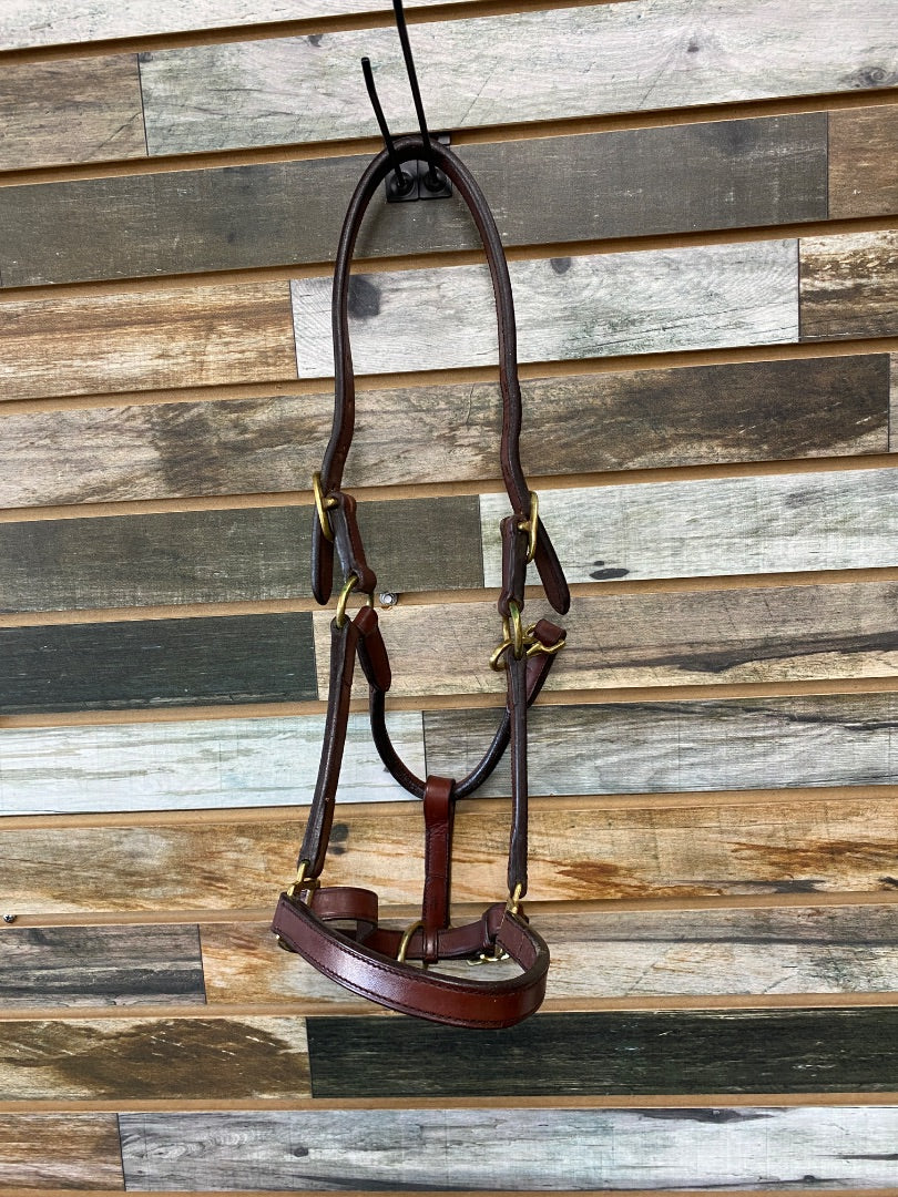 USED Henri De Rivel Leather Halter Cob Mahogany