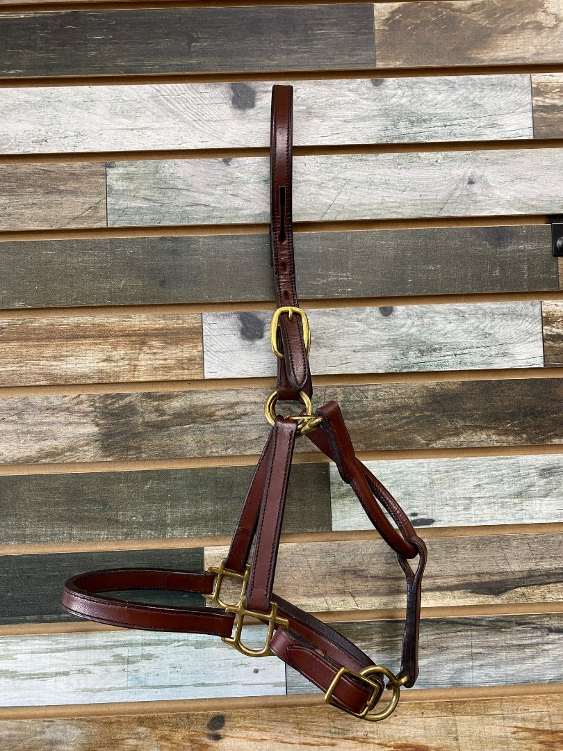 USED Henri De Rivel Leather Halter Cob Mahogany