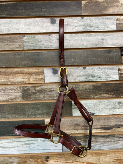 USED Henri De Rivel Leather Halter Cob Mahogany