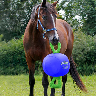 Horse Jolly Tug