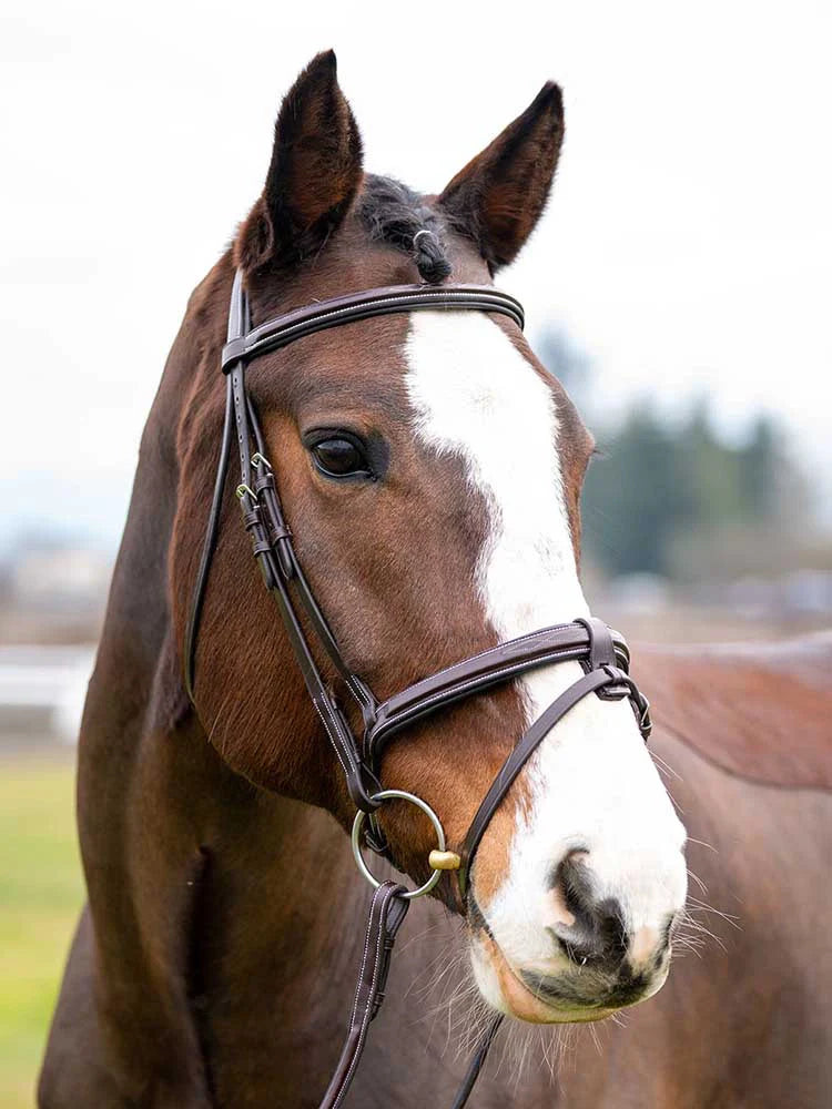 Marco Simone Italian Leather Monocrown Bridle